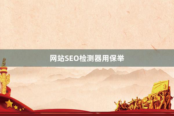 网站SEO检测器用保举